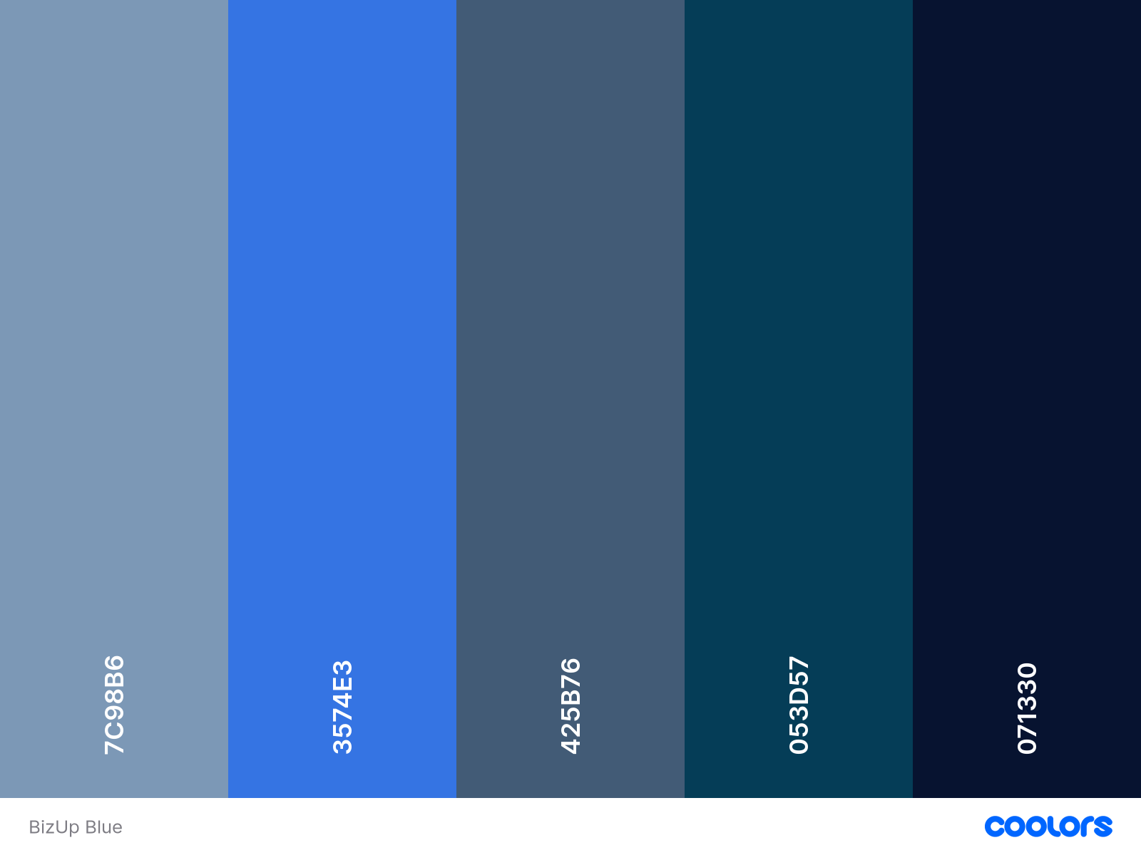 BizUp Blue