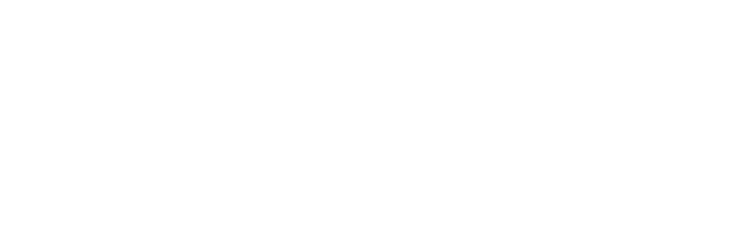 bizup-logo-text-white.20220618